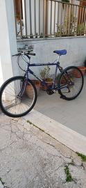 Bici Legnano