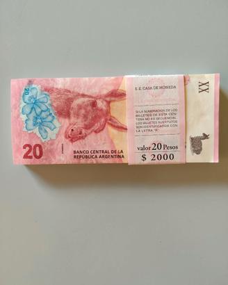 ARGENTINA - Mazzetta banconote FdS da 20 Pesos