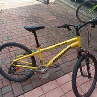 Mtb da 24" per ragazzino