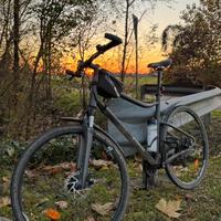 Bici Trekking RIVERSIDE 700