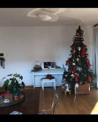 albero Natale 