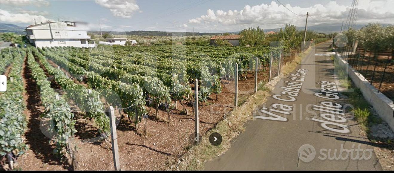 Terreno Agricolo Lamezia Terme - Vista 4