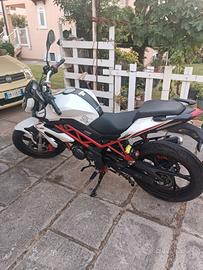 Benelli bn 125