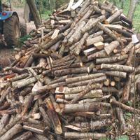 Legna da ardere secca