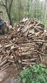 Legna da ardere secca