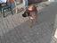 Immagine 5