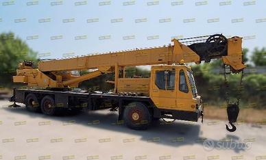 Gru Mobile GROVE TMS250 CRANE