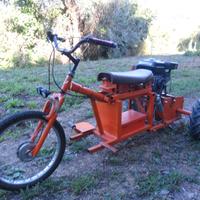 Altro Altro modello
