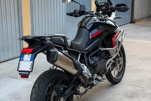 Tiger 900 Rally Pro
