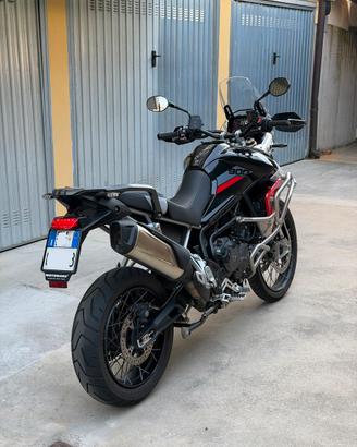 Tiger 900 Rally Pro