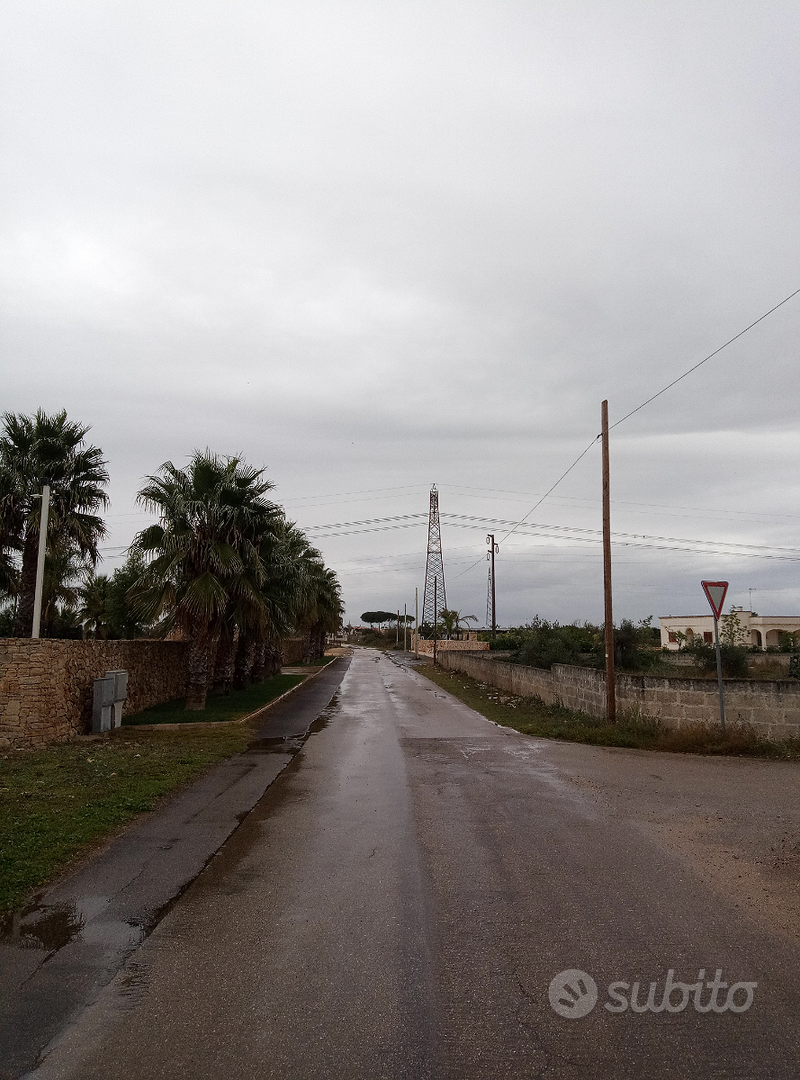 Terreno agricolo edificabile 1 ettaro a Copertino - Vista 5