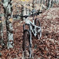 MTB Focus Jam 6.9  Anno 2025