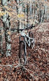 MTB Focus Jam 6.9  Anno 2025