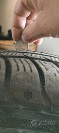 gomme 205/55/16