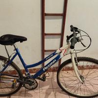 Bicicletta mountain bike da donna