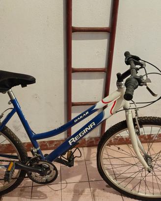 Bicicletta mountain bike da donna raggio 26