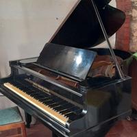 Pianoforte a mezza coda