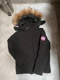 canada goose