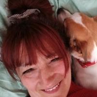 Barista/ tramezzinista/responsabile