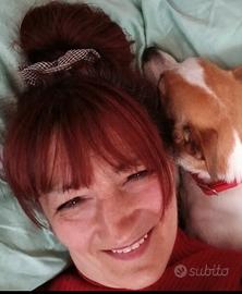 Barista/ tramezzinista/responsabile