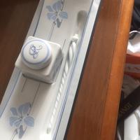 Calamaio e penna in porcellana finemente decorato