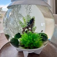 Acquario Biorb
