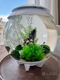Acquario Biorb