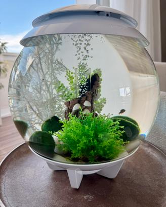 Acquario Biorb