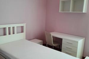 Ragazza lavoratrice