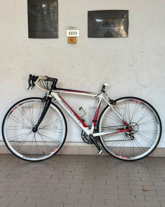 Bici da corsa Montana Taglia 48