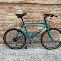 Bici mountain bike