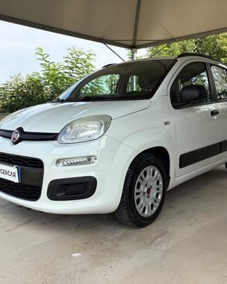 FIAT Panda 1.2 Easy EURO 5 BENZ OK NEOPATENTATI