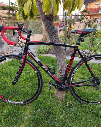 Bici da Corsa Olmo Deep Mis. M forcella carbonio