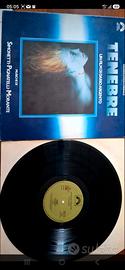 vinile 33 giri