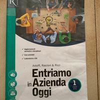 Libro usato ENTRIAMO IN AZIENDA OGGI