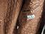 Immagine 4
