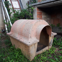 Cuccia cani
