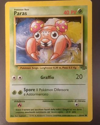 Paras mazzo Jungle