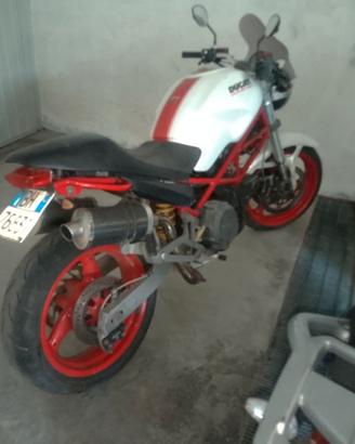 Ducati Monster