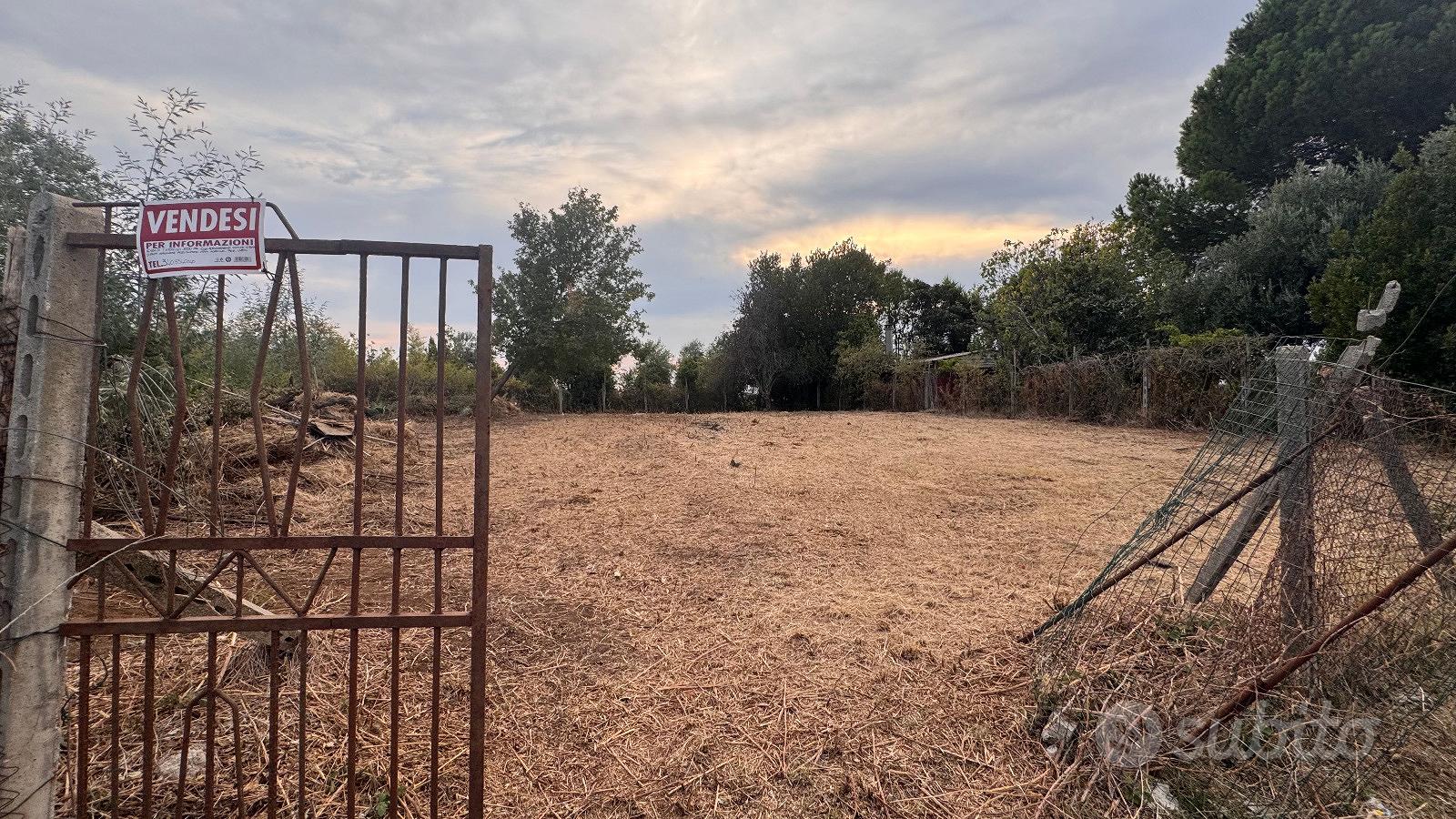 Terreno agricolo Agro Romano - Vista 3