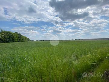 TER. AGRICOLO A GRASSOBBIO