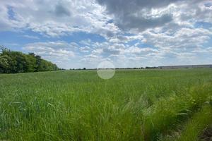 TER. AGRICOLO A GRASSOBBIO