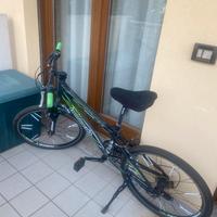 Bicicletta ragazzo 24