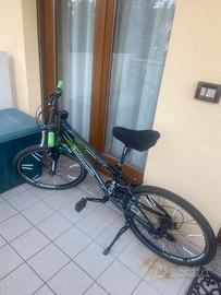 Bicicletta ragazzo 24