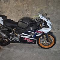 Cbr 954 RR 2002