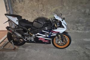 Cbr 954 RR 2002