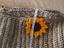 Immagine 6