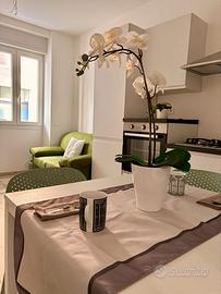 Bivano con Cortile Privato