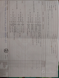 Breton per riproduzione