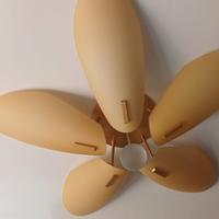 Lampadario, applique e tenda